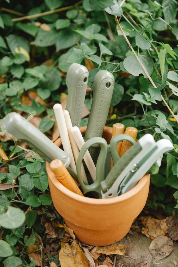 Vegetable Gardening Tools & Products